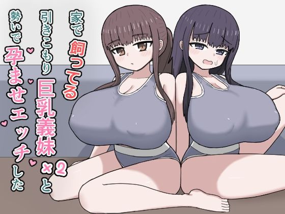 家で飼ってる引きこもり巨乳義妹×2と勢いで孕ませエッチした アイキャッチ画像 【同人YH】
