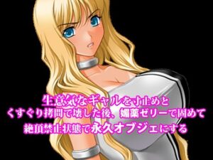 『生意気なギャルを寸止めとくすぐり拷問で壊した後、媚薬ゼリーで固めて絶頂禁止状態で永久オブジェにする』 アイキャッチ画像 【同人YH】