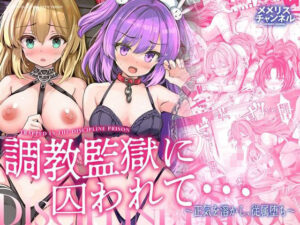 調教監獄に囚われて…正気を溶かし、従属堕ち アイキャッチ画像 【同人YH】